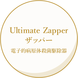 Ultimate Zapper ザッパー電子的病原体殺菌駆除器